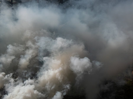 Thick, white smoke from burning wet branches and grass outdoorsの写真素材