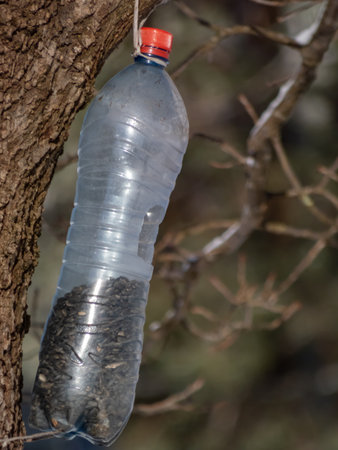 Close-up of a bird feeder made from reused plastic bottle full with grains hanging in a treeの写真素材