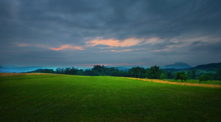 Green fields of Central Serbia, sunset at summer season 2010. 