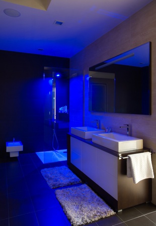 Modern house bathroom interior with simple and expensive furniture.の写真素材