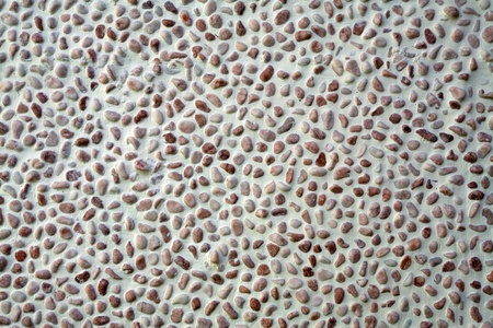 Pattern of a wall texture with small brown marble stones. の写真素材