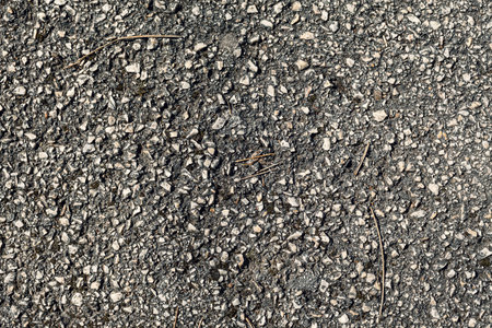 Texture of an old asphalt with little branches here and there.の写真素材