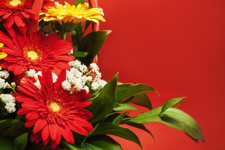 Red Gerber flowers in an arrangement, closeup view. Red background as empty space.の写真素材