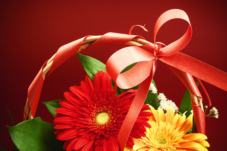 Two colors of Gerber flowers, red and yellow, in sweet basket on red background.の写真素材