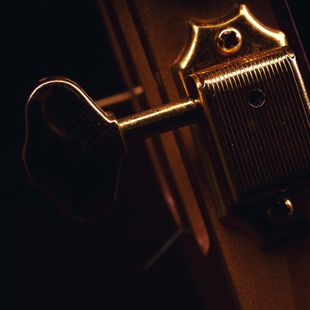 Part of a gypsy acoustic guitar, details of golden tuners.の写真素材