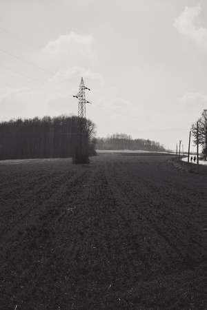 Late winter season, fields and meadows from Balkan, Serbian countryside.の写真素材