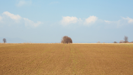 Late winter season, fields and meadows from Balkan, Serbian countryside. の写真素材