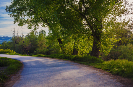 Beautiful scene of a spring time on countryside road.の写真素材