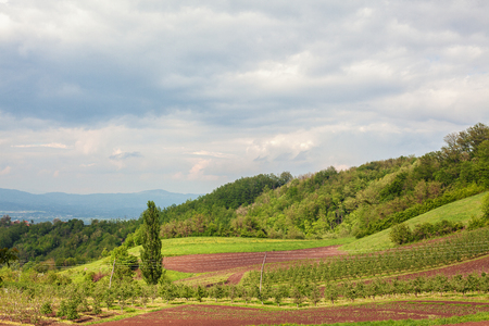 Serbian village landscape, spring time during day.の写真素材