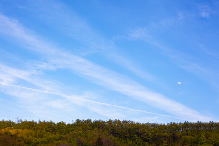 Abstract of blue sky and forest during day.の写真素材