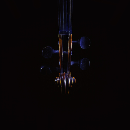 Accentuated shapes of violin with light, illuminated in dark.の写真素材