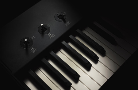 Black and white keys and controller sticks, part of modern midi keyboard. の写真素材