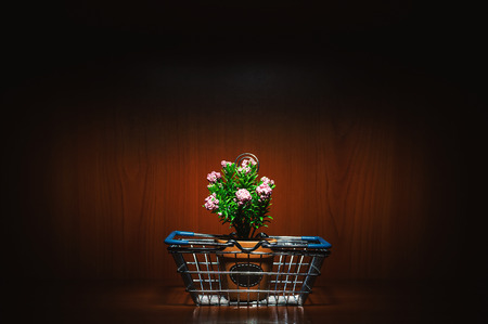 Small decorative flower in vase as shelve decoration.の写真素材
