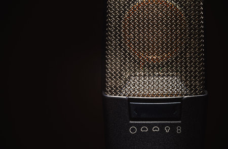 Closeup view on modern condenser microphone, membrane and pattern details.