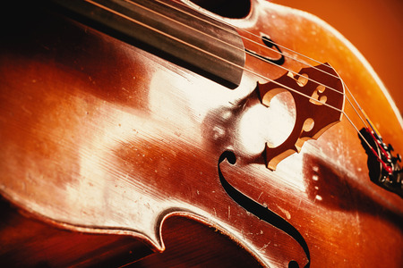 Details of an old dusty cello, closeup view on strings and body.の写真素材