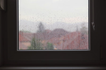 Scene from behind the window during rainy summer day.