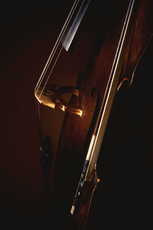 Part of an old dusty cello, details of old wood and strings, accentuated shapes in dark.