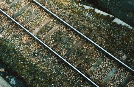 Abstract composition of train rails, rocks and green moss.