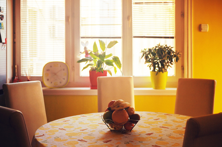 Ordinary scene from a home kitchen, calm and warm morning atmosphere.の写真素材
