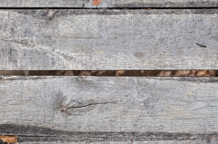 Closeup view on old wooden planks, texture details.の写真素材