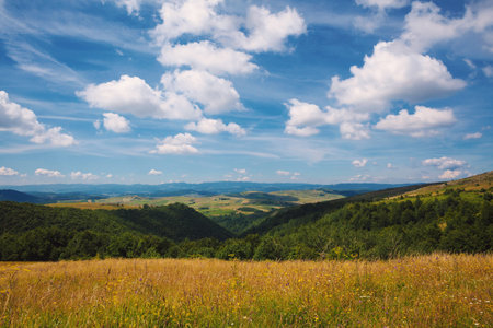 Bright beautiful day on mountain field during summer.