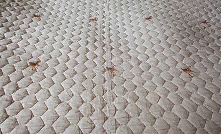 Lifestyle details, old and clean bed-sheet closeup.の写真素材