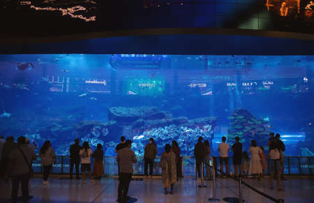 Dubai, United Arab Emirates - January 19, 2022: Interior of Dubai Mall, the biggest mall in town with a lot of fashion shops, restaurants and one big aquarium with sharks and other rare see fishes.のeditorial素材