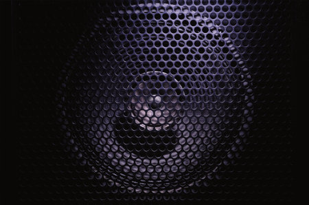 Details of speaker membrane, behind black metal grid.