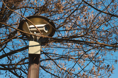 Detail of a camera hidden in a tree canopy, detail from a city park.
