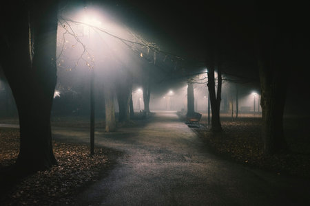 Dramatic scenes, cinematic atmosphere of a park during a foggy night. Park lights and empty benches...