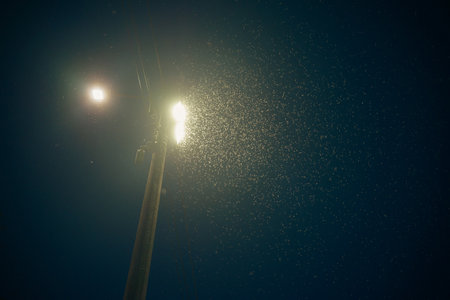Many flies and insects around the night light of a pole.の写真素材