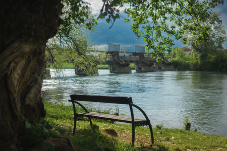 A bench by a tree, in the background a river with a dam, spring period.の写真素材