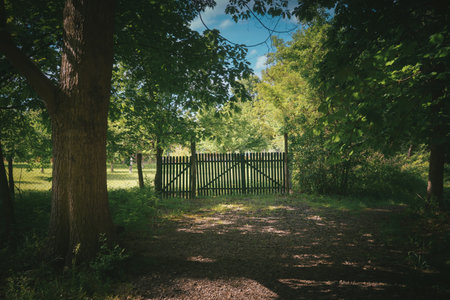 The fence, the forest road and the entrance.の写真素材