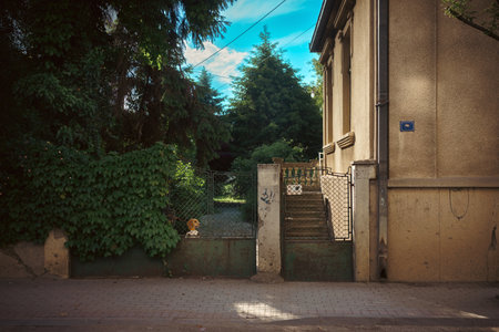 A small dog peeks out from behind the fence of an old house with a beautiful yard full of trees.の写真素材
