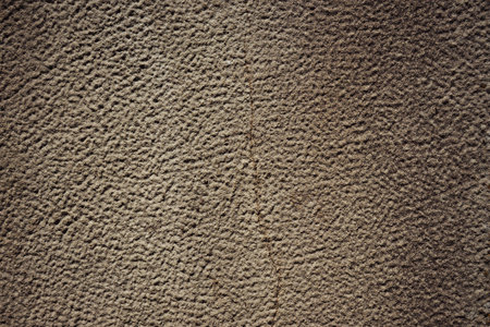 Details of the texture of the old stone facade wall.の写真素材
