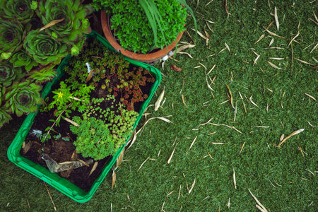 Decorating the terrace with artificial grass and flowers.
