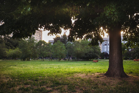 Park and playground in front of big buildings in the neighborhood, city life in spring.の写真素材