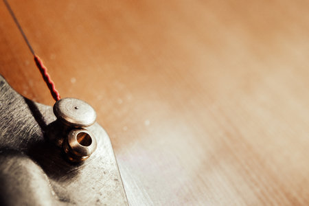Strings and tailpiece on a Gypsy acoustic guitar, macro view.の写真素材