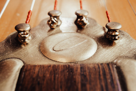Strings and tailpiece on a Gypsy acoustic guitar, macro view.