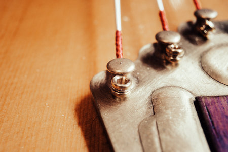 Strings and tailpiece on a Gypsy acoustic guitar, macro view.の写真素材