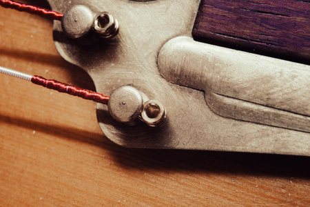 Strings and tailpiece on a Gypsy acoustic guitar, macro view.の写真素材