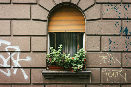 Flowers in a vase on the window of an old building, the facade of a wall inscribed with letters and scribbles.の写真素材