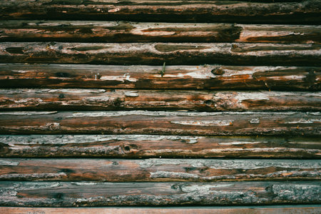 Details of an old wooden wall made of aged boards, abstract composition.の写真素材