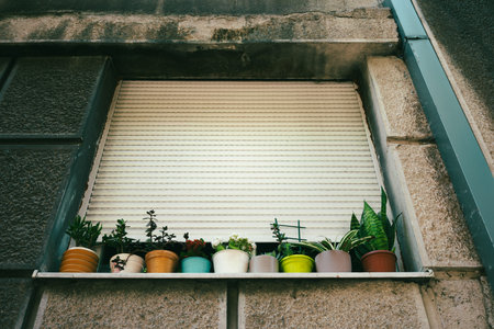 Lifestyle in old Belgrade, vases with flowers on the window, details of the walls of the building.