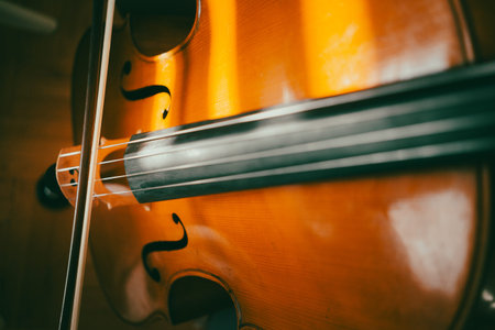 Cellist practicing playing, close-up view.
