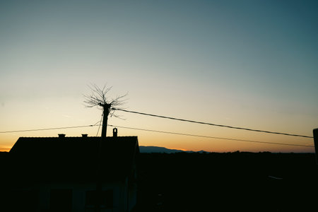 Abandoned nest of a stork on a pole, dusk in autumn.の写真素材
