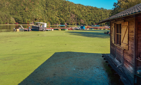 Life on the lake in early autumn on a sunny day. The West Morava River in Serbia, the place of Medjuvrsje.の写真素材