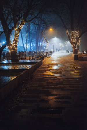Night scene of city promenade in autumn, city of Cacak in Serbia.の写真素材
