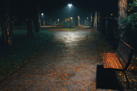 Night scene from city park during autumn, wooden bench in focus.の写真素材