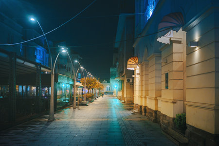 Cacak, Serbia - November 23, 2025: City center at night, rainy and cold weather. Details of main streets with promenade.のeditorial素材